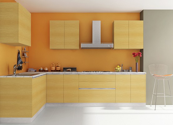 Latest modular kitchen designs in Delhi, India