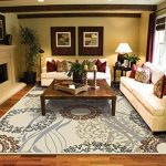 Amazon.com : Modern Rugs For Living Room Cream Rug 5 by 8 rug luxury