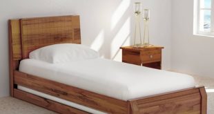 Buy Verkko Solid Wood Single Bed with Trundle in Warm Rich Finish by