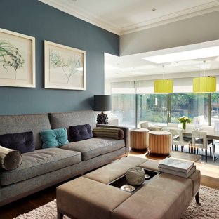 Blue Grey Walls Living Room Ideas & Photos | Houzz