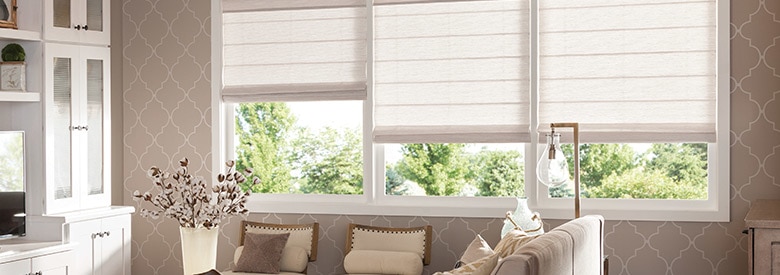 Shop Window Blinds - Buy Window Treatments Shades & Coverings