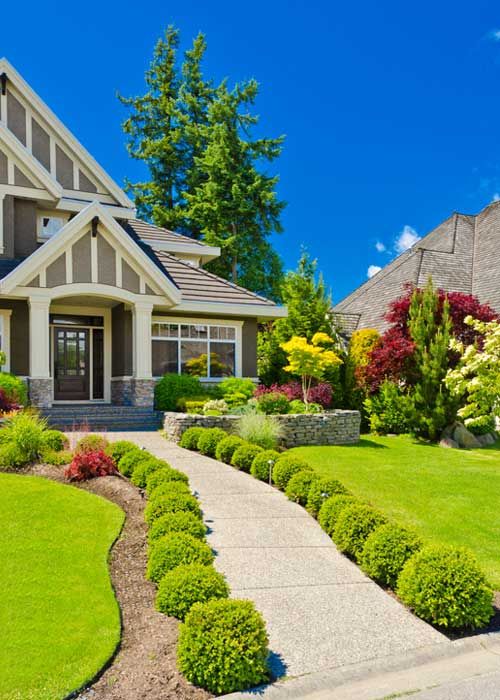 Front Yard Landscaping: Modern Trends and Timeless Ideas for a Gorgeous Exterior