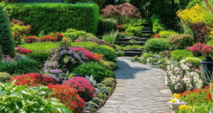 Front Yard Landscaping: Innovative Designs for a Stunning First Impression