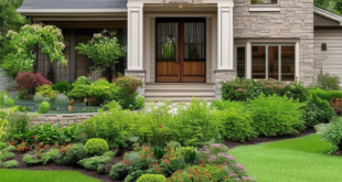 Front Yard Landscaping: Smart Solutions for a Welcoming and Beautiful Entrance