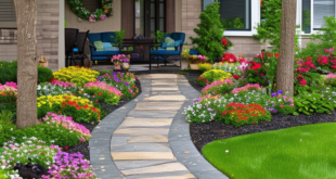 Transform Your Curb Appeal: Front Yard Landscaping Ideas