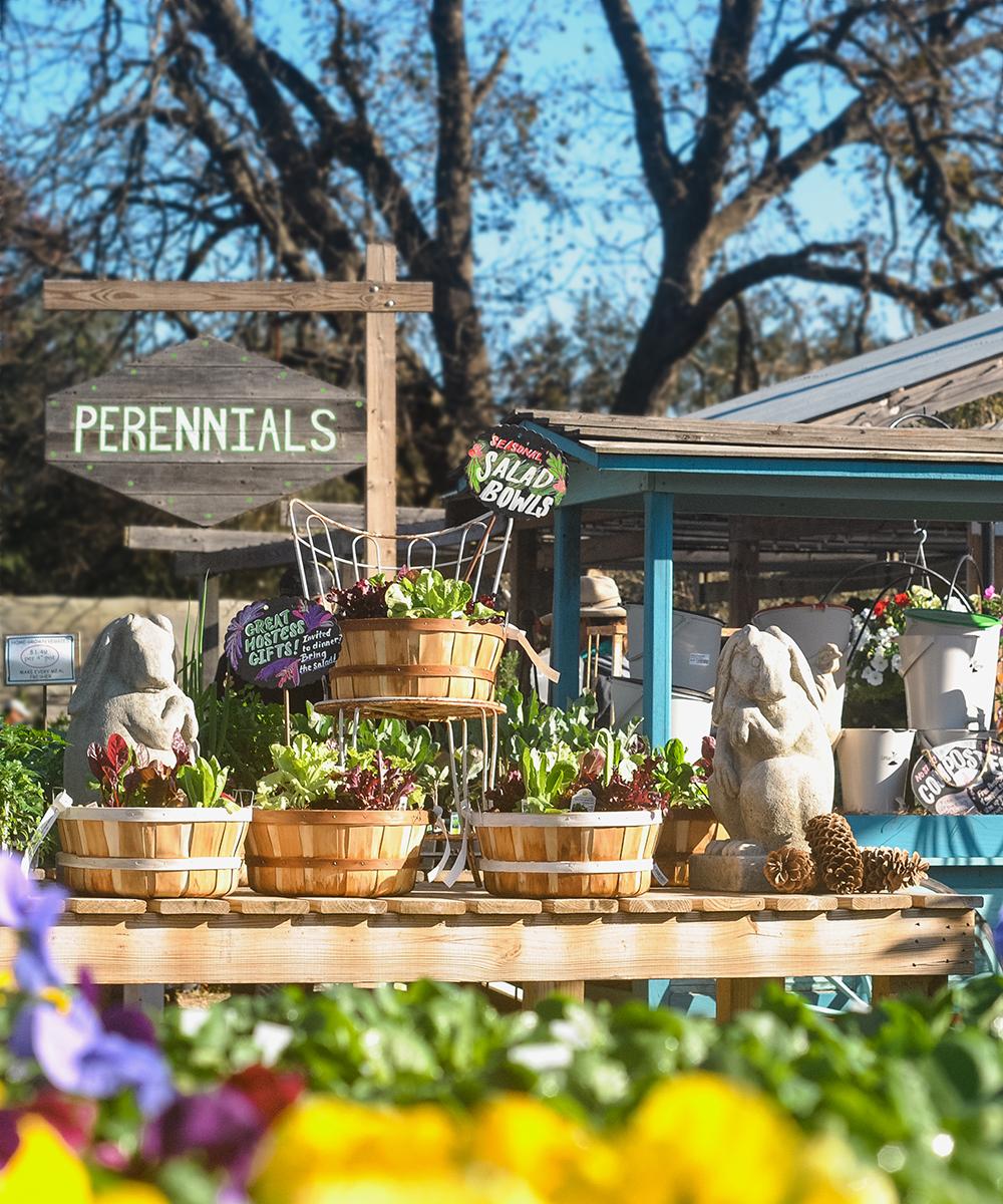 Enchanted Garden: Delicate plants and critters create ⁣a ⁣magical ⁤nursery atmosphere