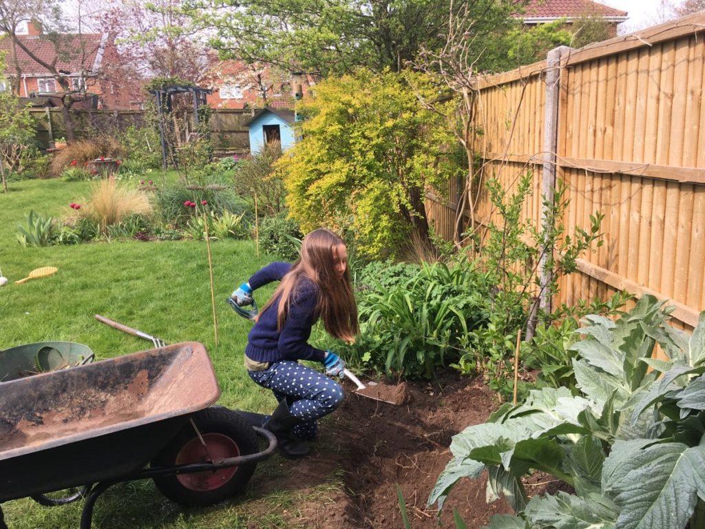 Add‌ a‍ small pond to attract wildlife to your⁢ backyard