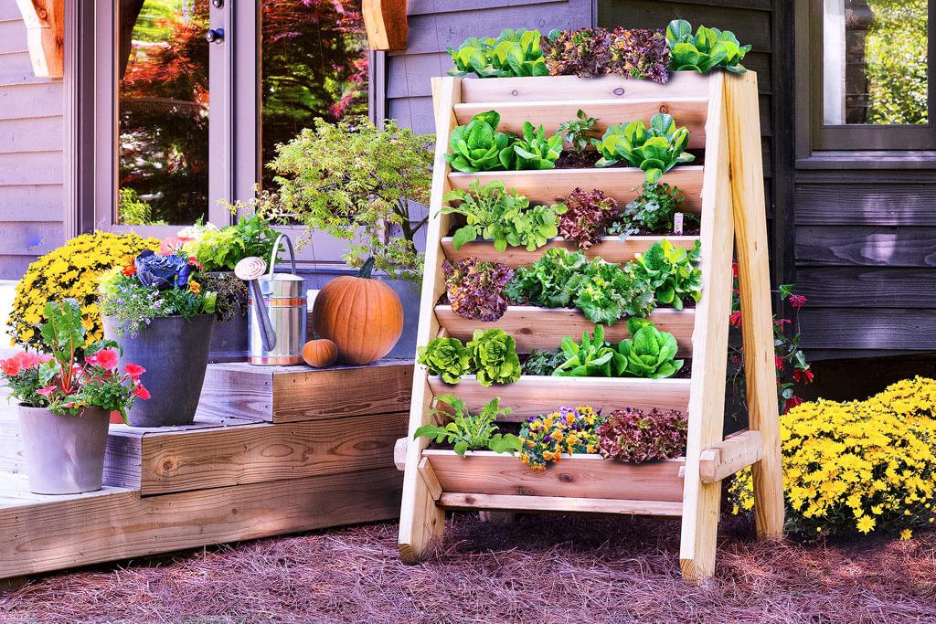 4)​ Utilize a Vertical ‍Garden for Herbs and​ Flowers