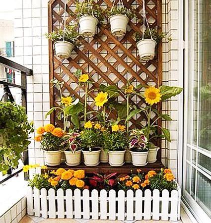 Use vertical gardens to maximize space on your small balcony