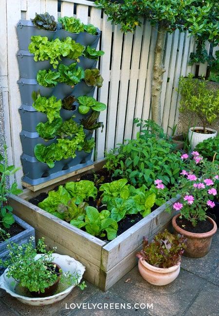 Find space-saving⁤ gardening tools ‍specifically for small balcony gardening