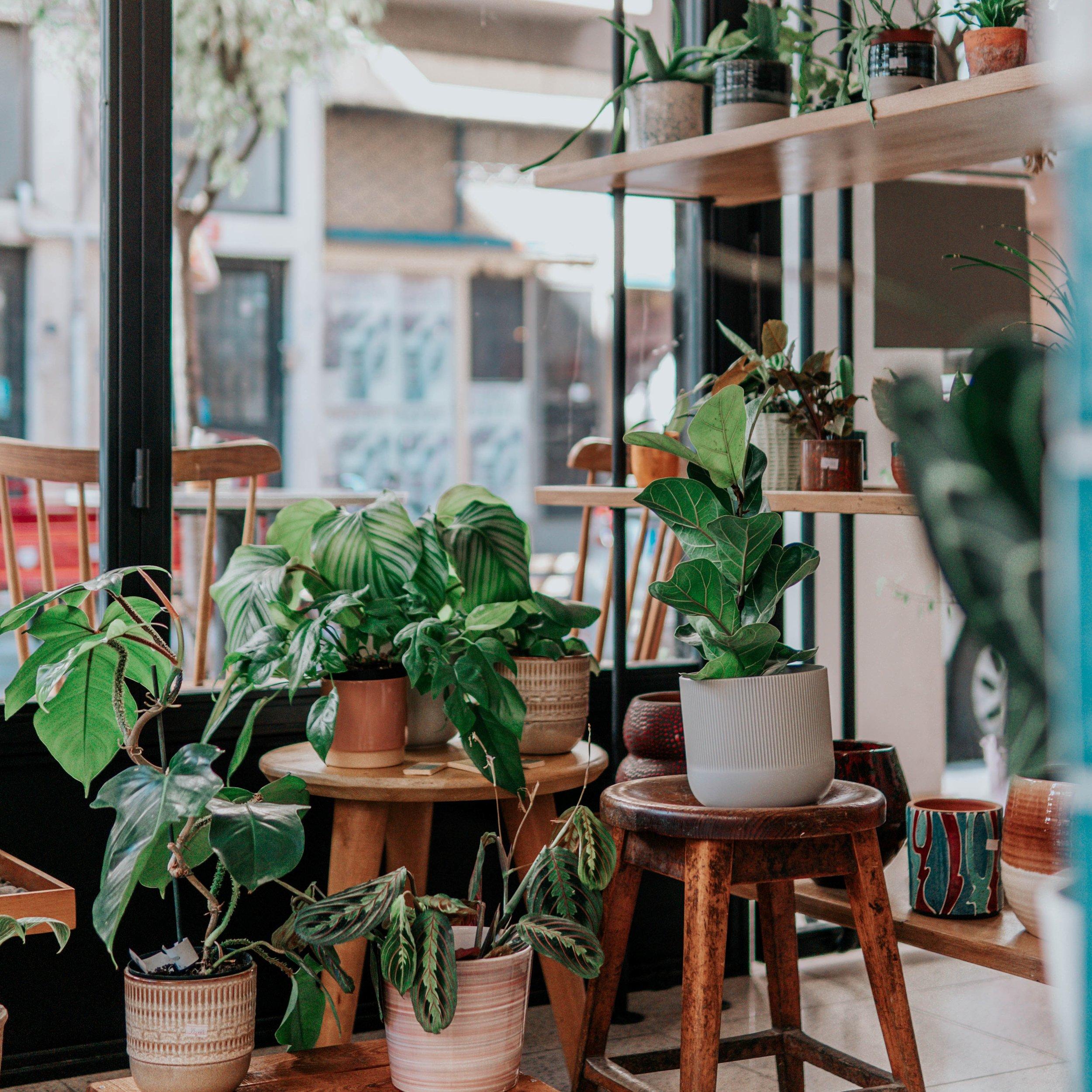 Incorporate plants to bring nature directly onto your ‍Screened Porch