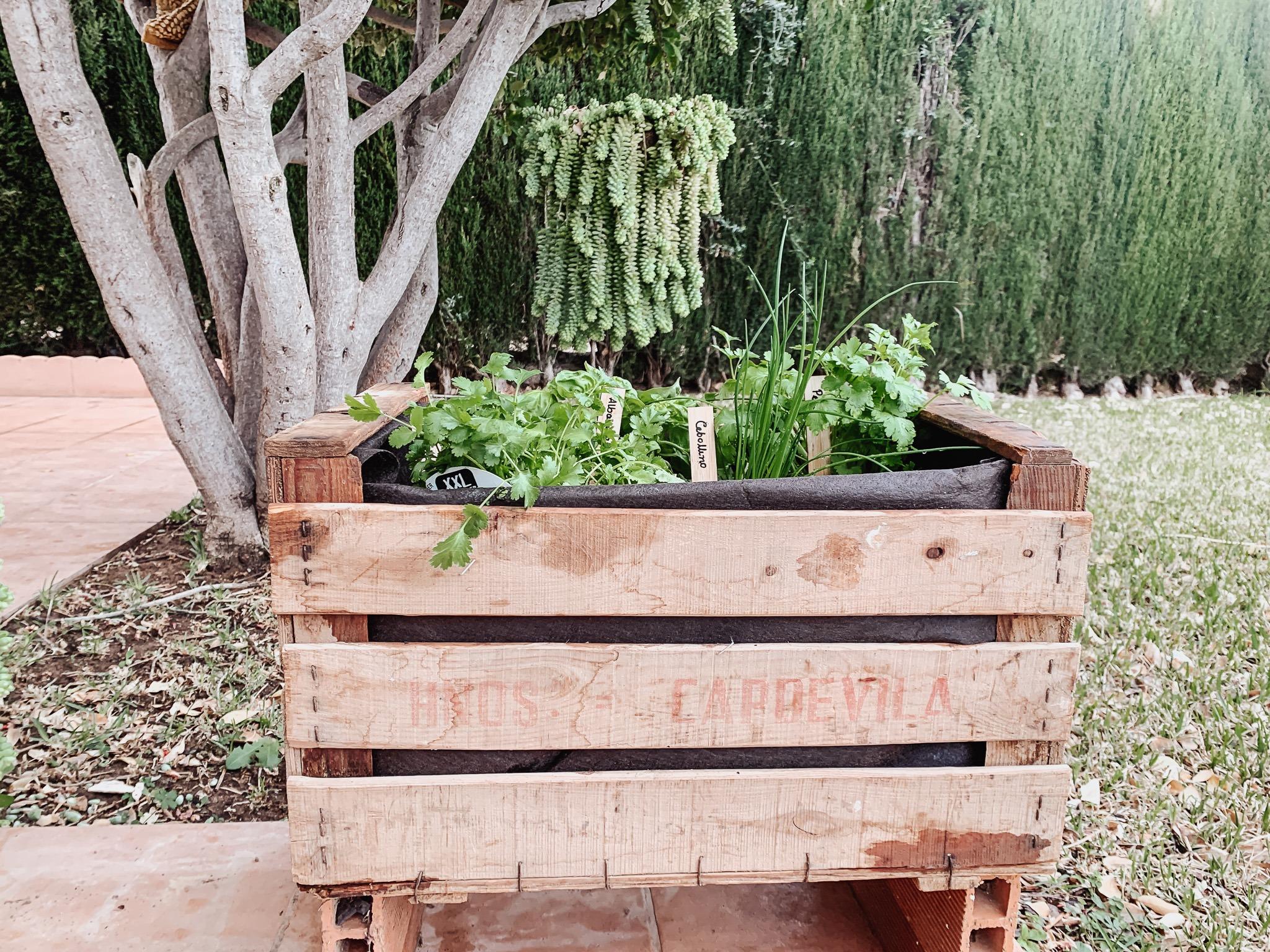 Plant a fragrant herb pallet garden that attracts beneficial insects