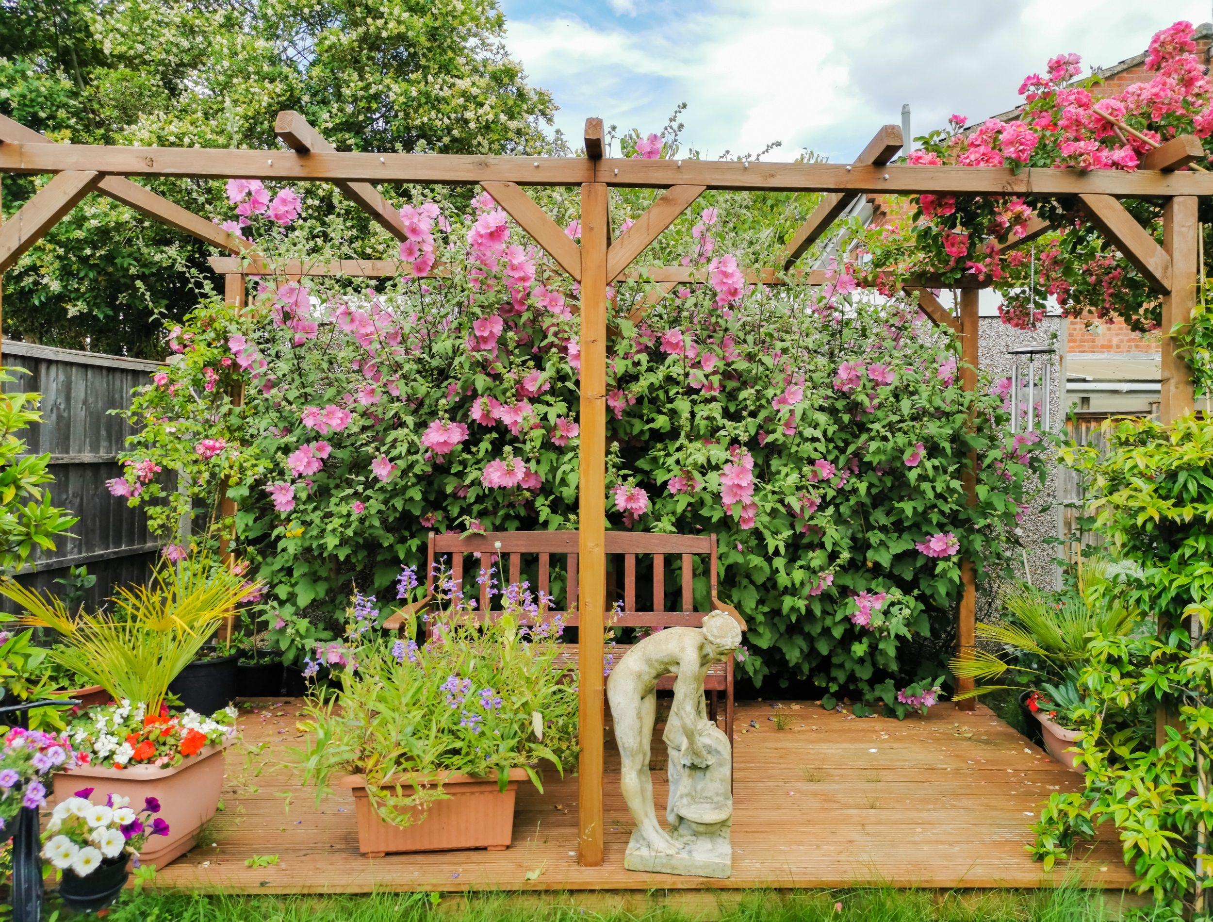 Install a trellis adorned with⁤ flowering ​vines in your backyard