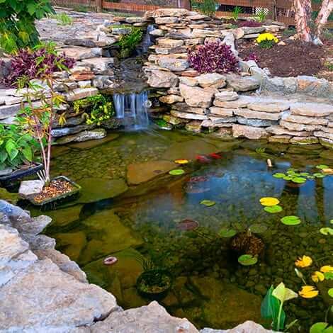 Add a small pond or water feature to enhance your backyard oasis