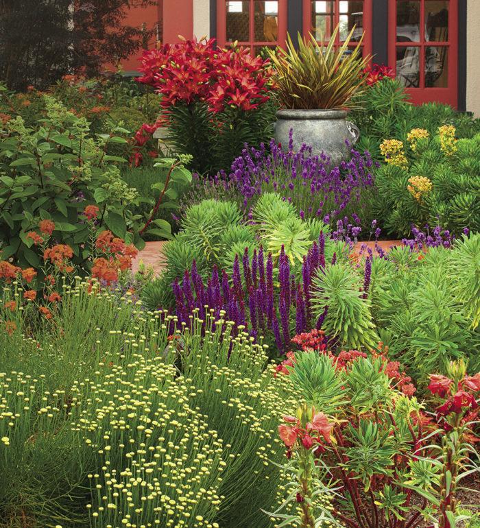 Colorful ​flower beds ⁣to ​brighten up any backyard⁣ landscape