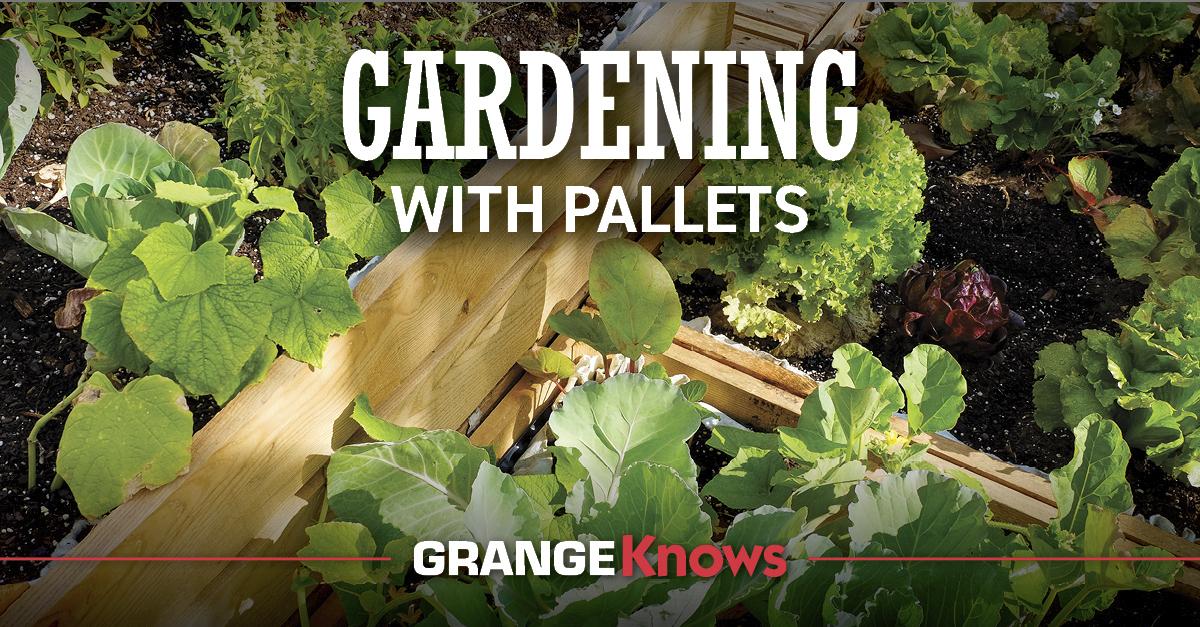 Seasonal Pallet Garden: Rotate plants ‍for year-round gardening excitement