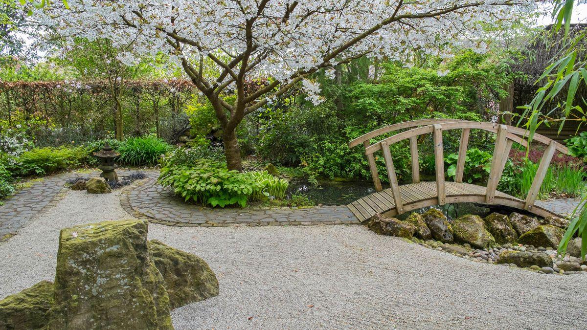 Incorporate a‍ Zen garden for peace⁣ in your backyard