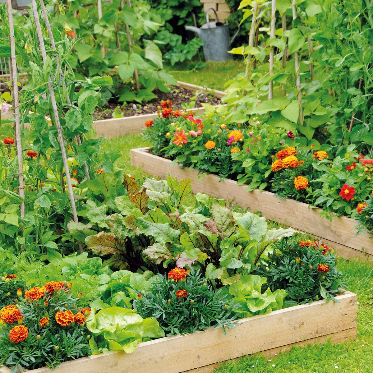 Install a vibrant vegetable garden to enhance ‍your backyard’s productivity