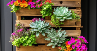 24 Innovative Pallet Garden Design Ideas for Every Space