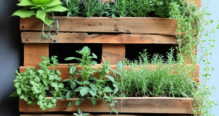 24 Inspiring Pallet Garden Design Ideas for Your Space