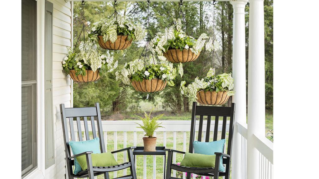 Incorporate hanging plants to breathe life into your screened porch