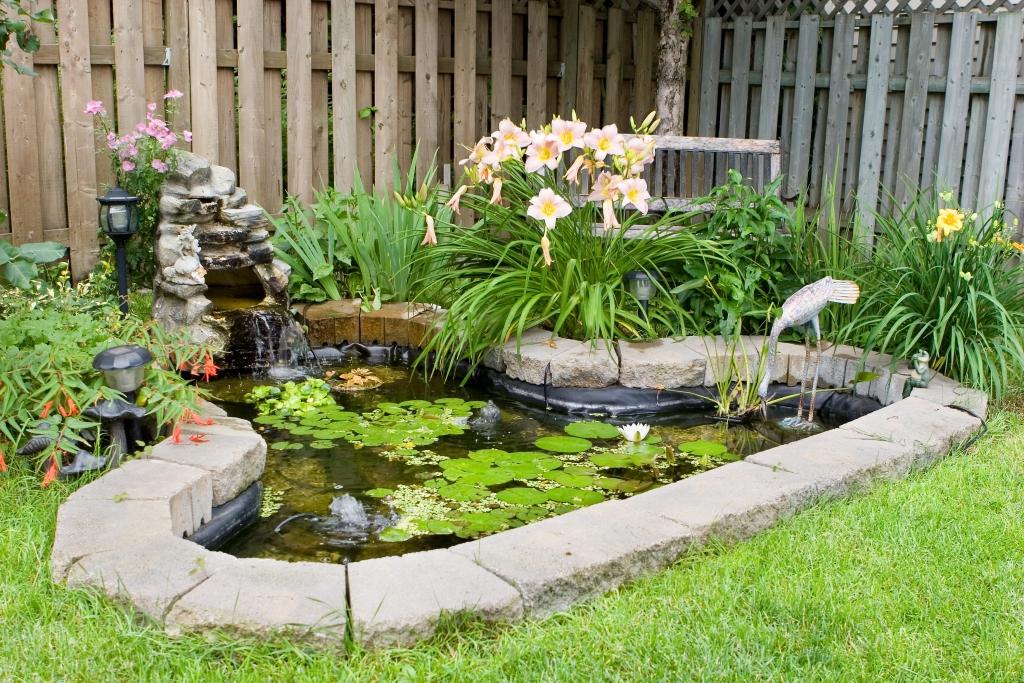 Create a serene ⁢water feature in ⁢your backyard