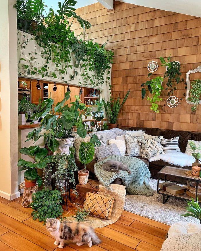 Urban Jungle Living ⁣Room: Abundant plants breathe life into ​your⁤ indoor oasis