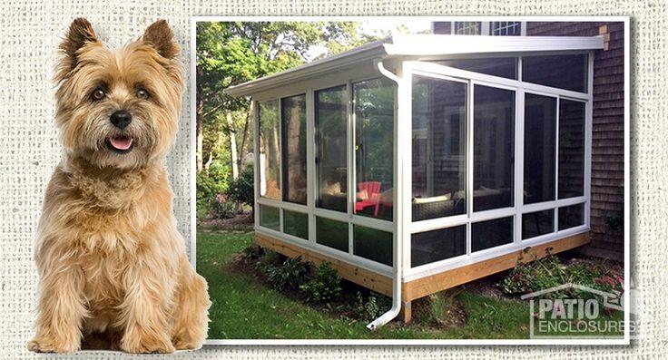 Create a pet-friendly zone on your Screened Porch​ for furry friends