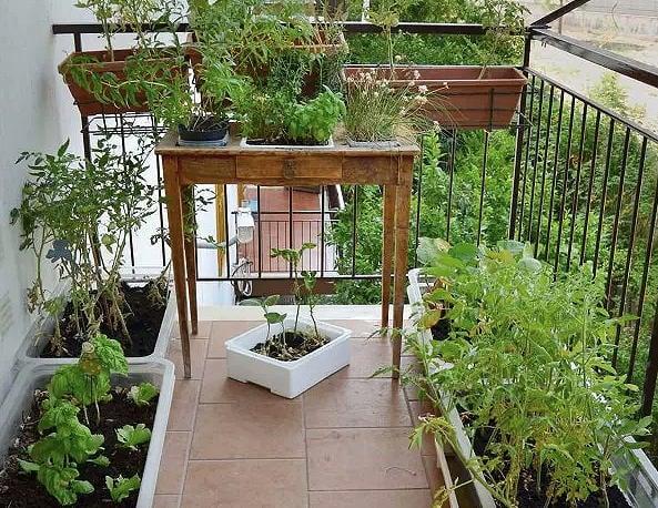 Cultivate a herb garden for fresh flavors in your backyard oasis