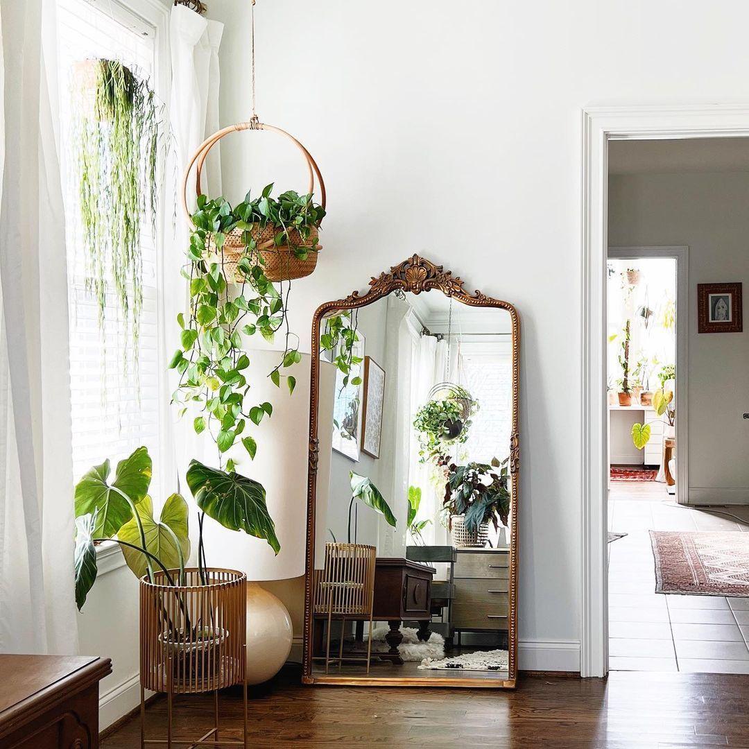 Bring ⁣in⁢ indoor ‌plants for fresh air and vibrant⁤ greenery‍ in your earthy living⁢ room