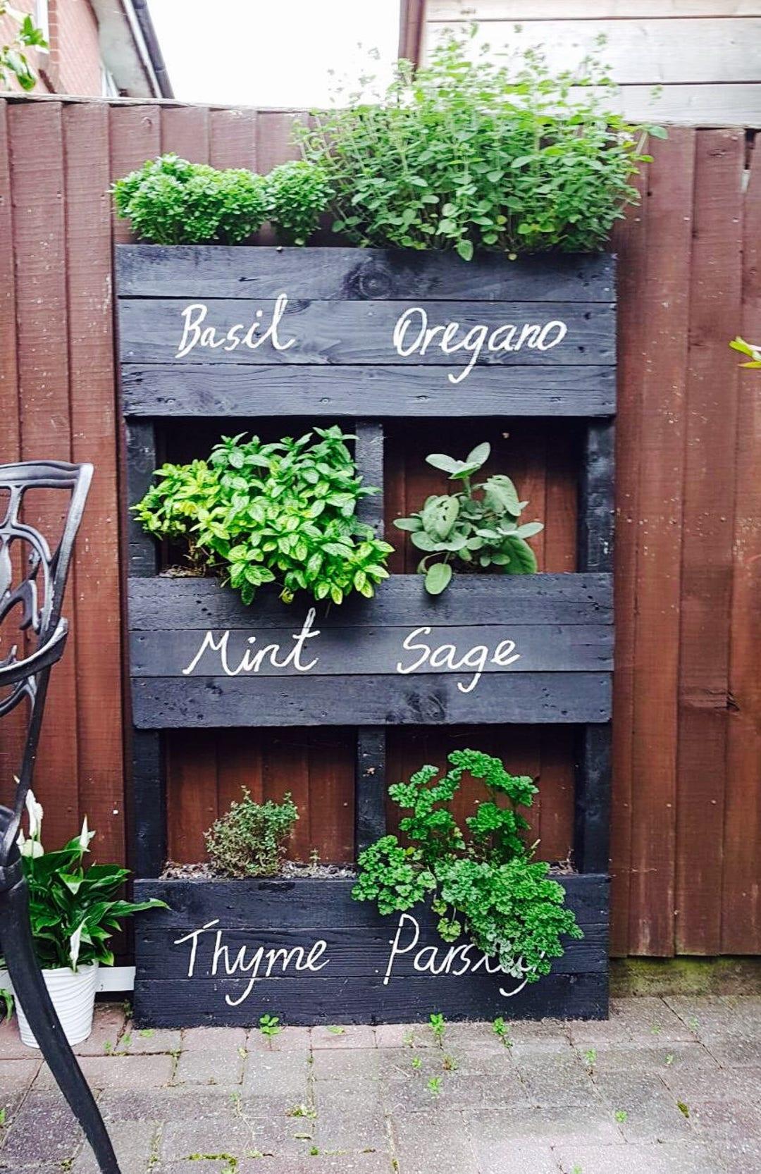 Herb Wall Pallet Garden: Fresh‌ seasonings⁤ at ‍your fingertips, right outside