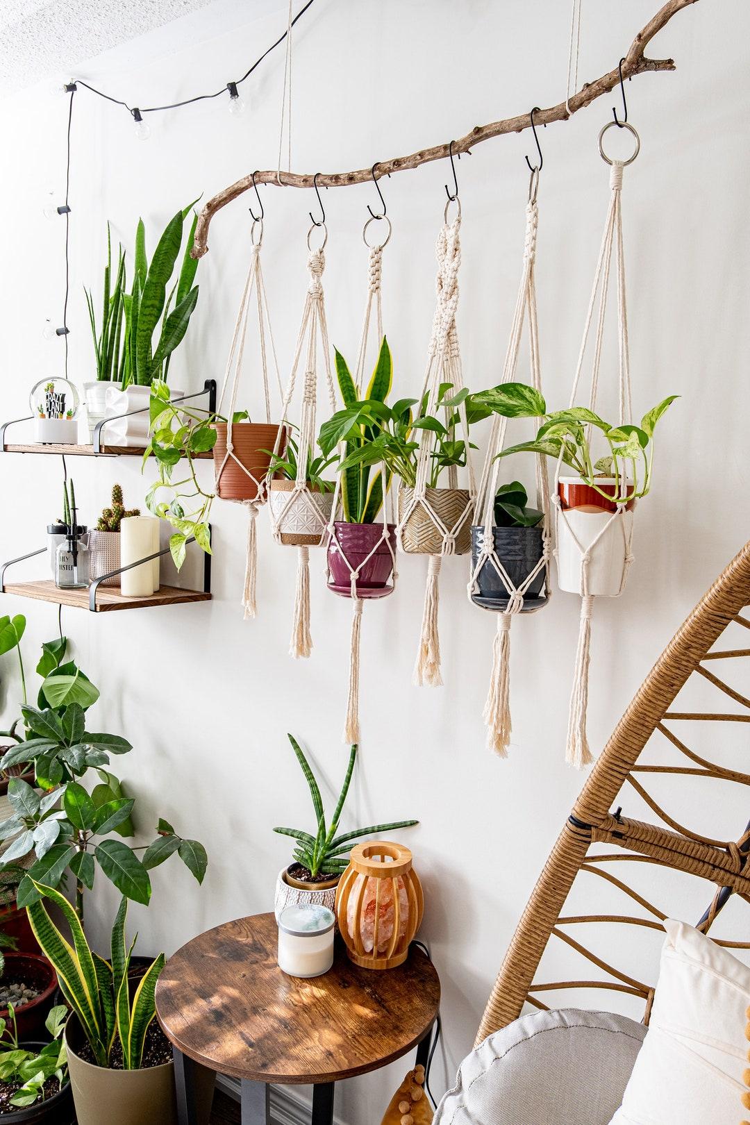 Hang macramé planters for a boho touch in your Earthy ‌Living Room design