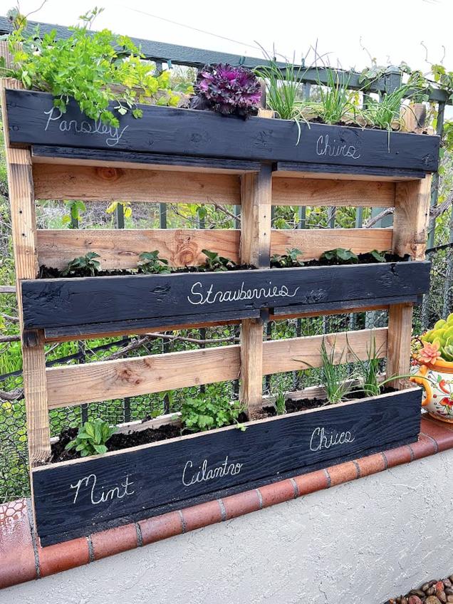 Pallet ⁢Garden ​Shelves: Layer herbs ⁢and succulents on wooden ​shelves ‍for vertical growth