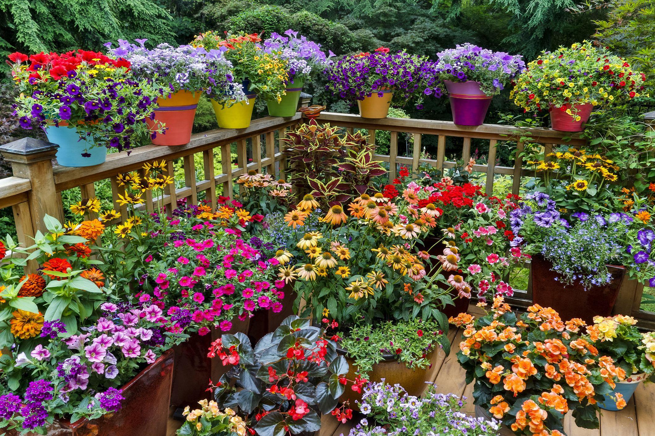 Use planters for a ⁤colorful backyard flower display