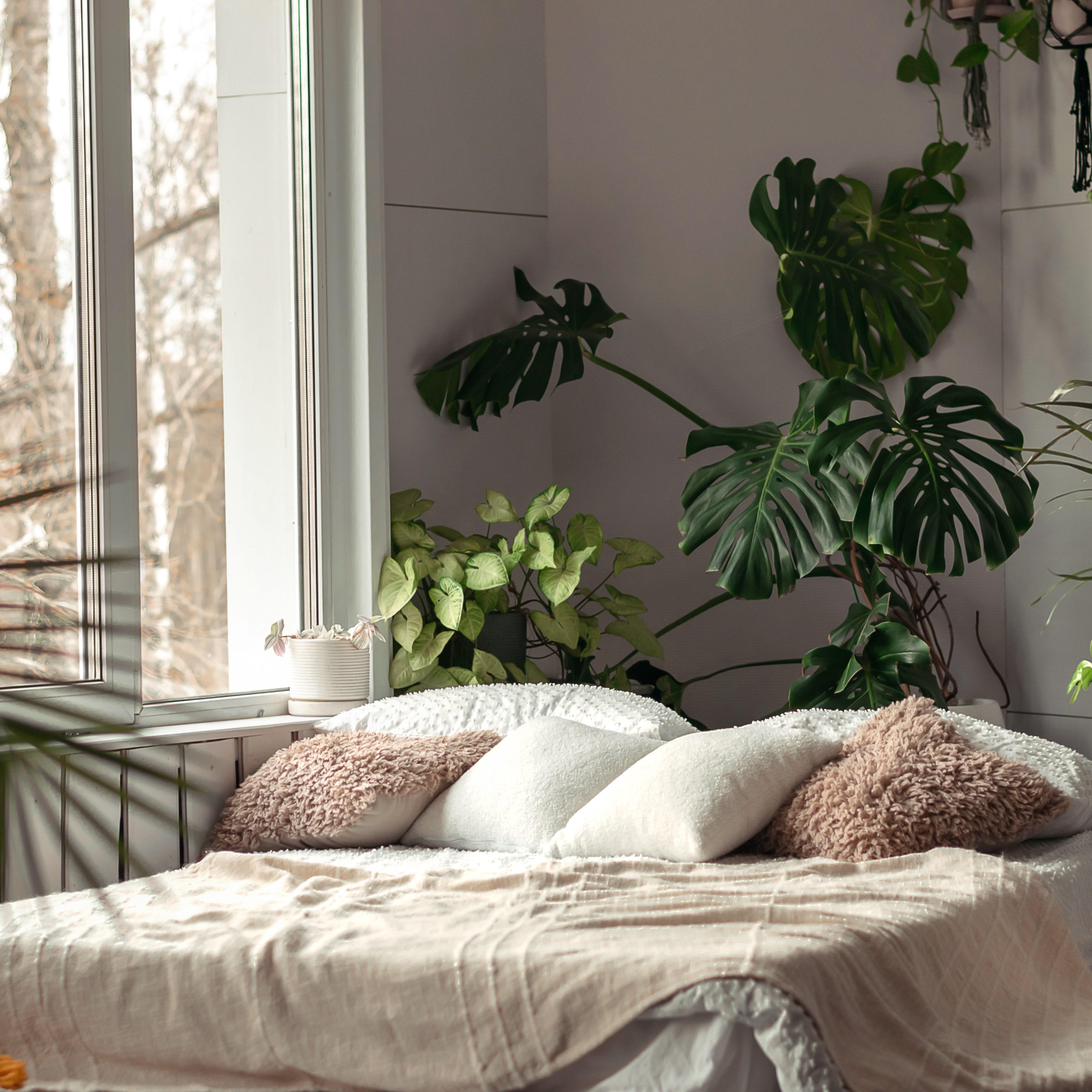 Add greenery with easy-care plants ⁢in your minimalist bedroom space