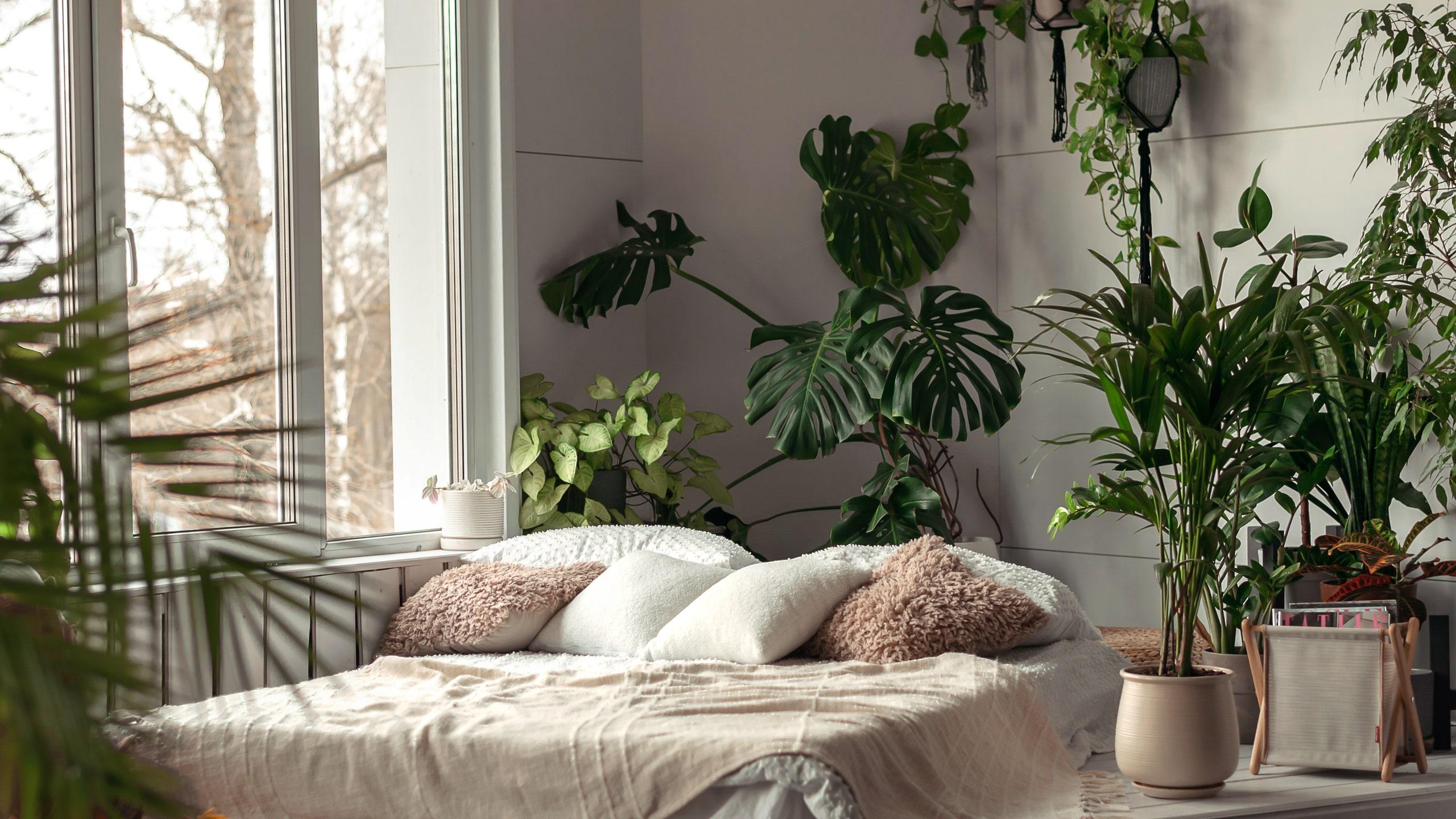 Indoor‌ plants ⁢bring⁤ life into your ⁢Minimalist Bedroom environment