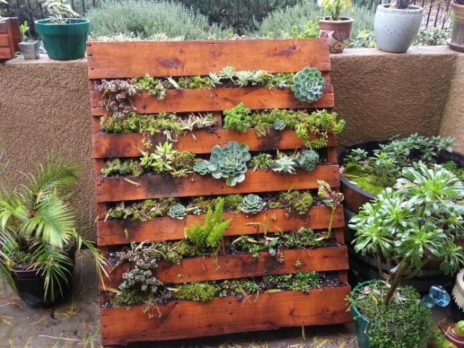 Miniature⁣ Pallet Garden: Perfect for balconies or small patios