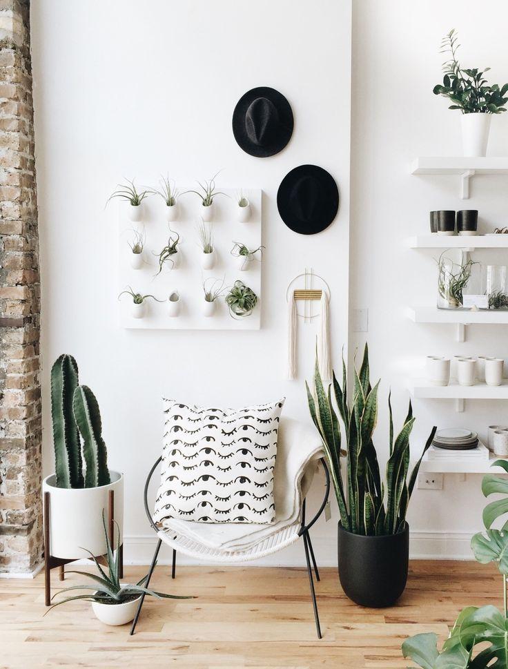 Add indoor plants for a fresh vibe in your minimalist bedroom