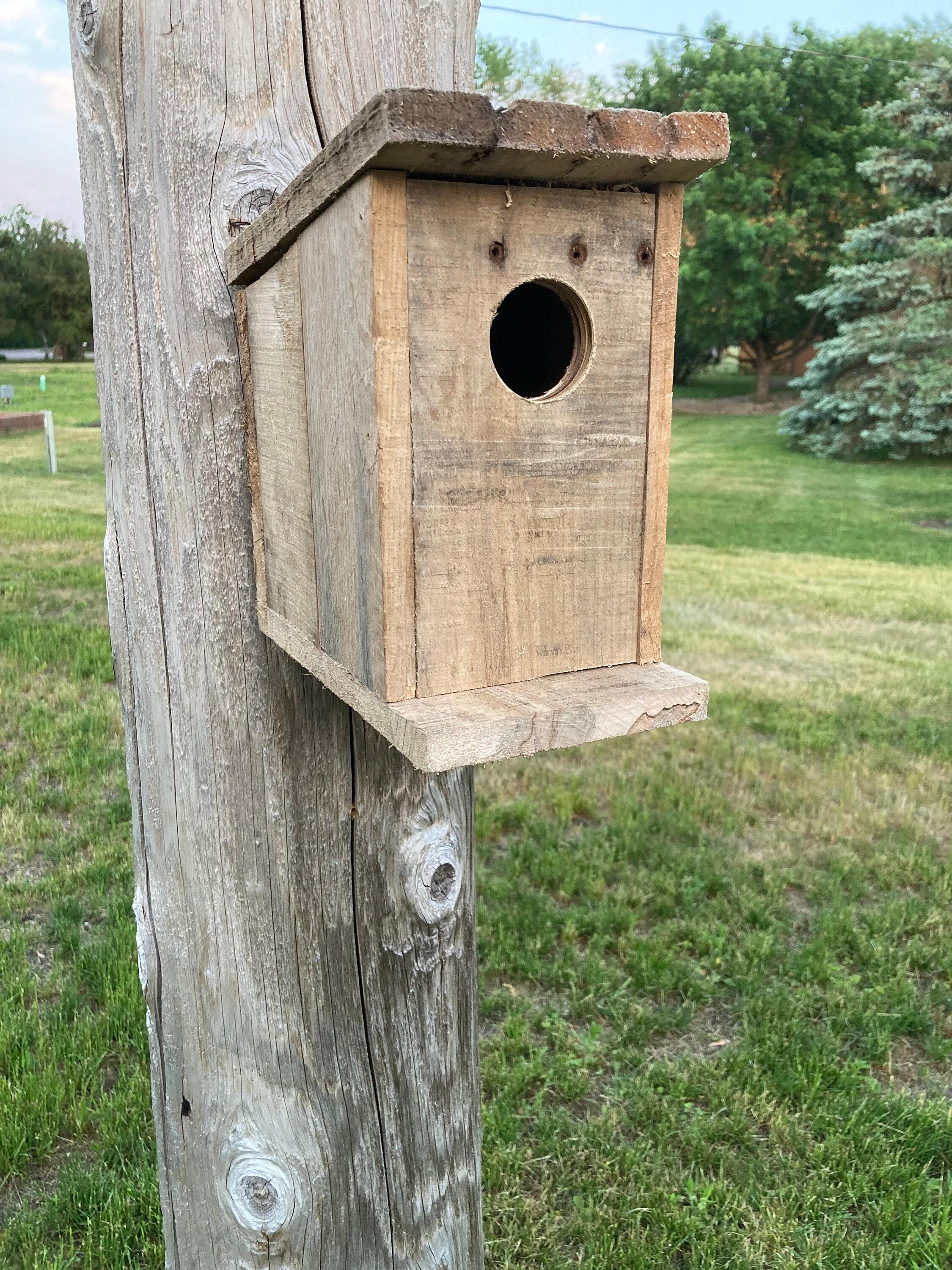 Pallet Garden Birdhouse: Invite feathered friends with charming, rustic bird habitats