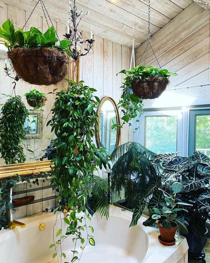 Add greenery with‍ hanging plants⁣ for a fresh, vibrant touch to your eclectic bathroom