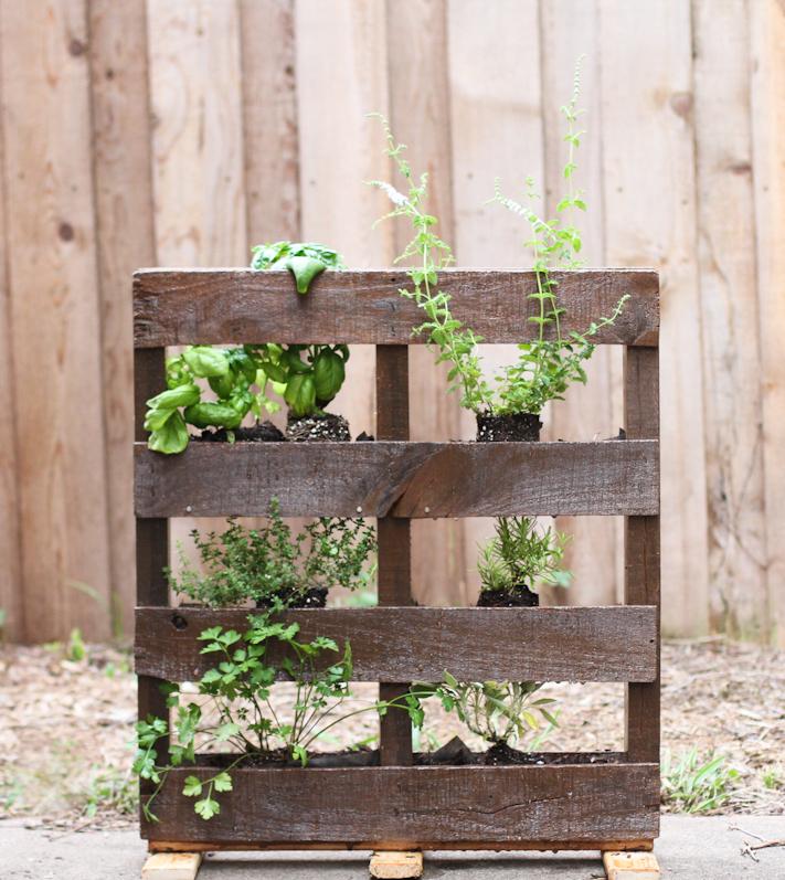 Mini Pallet⁤ Garden: Perfect for Small Outdoor ‍Spaces or Balconies