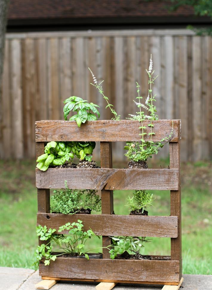 Compact‍ Pallet ​Garden for Limited Urban⁢ Environments