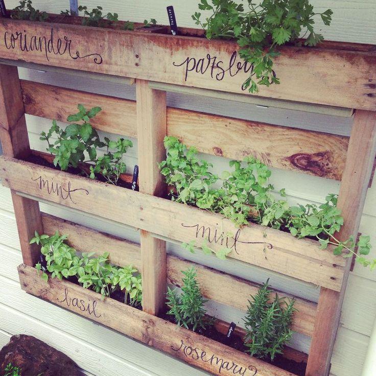 Herb Pallet ‌Garden: Fresh ‍flavors at your‍ fingertips, right ‌at home