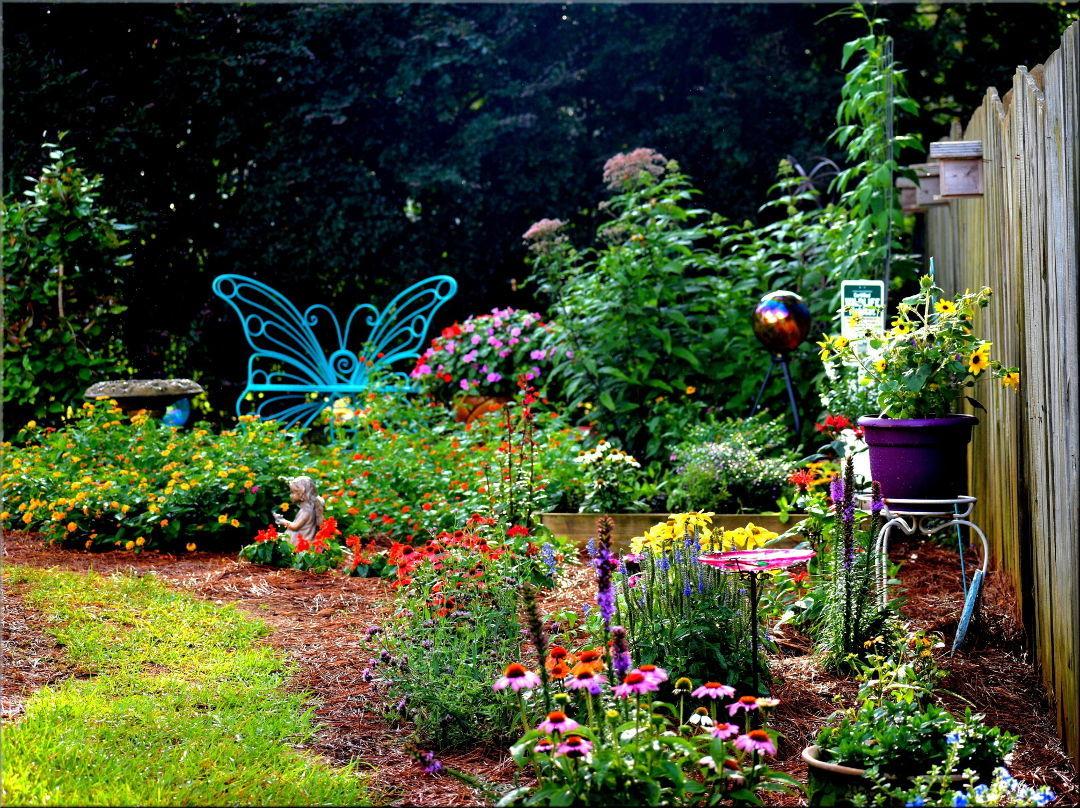 Cultivate a butterfly garden‍ in your backyard