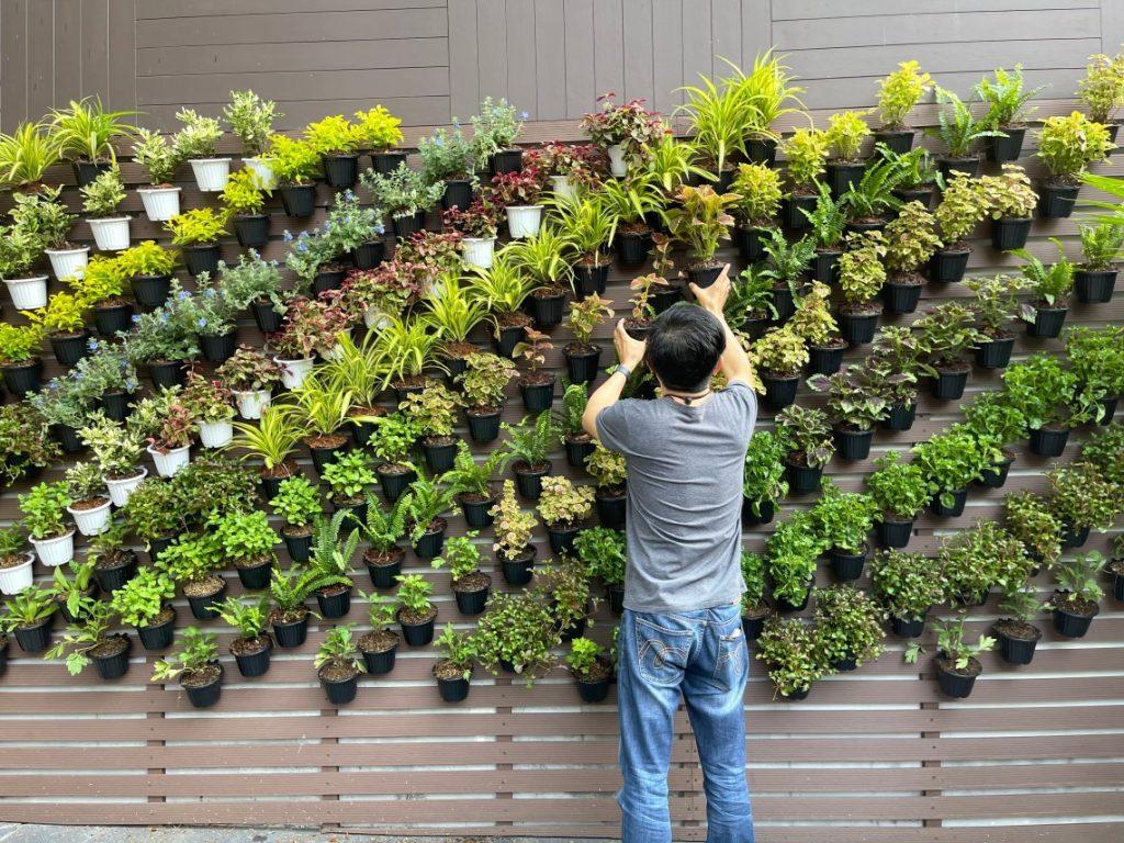 Vertical gardens‌ to maximize small backyard spaces creatively