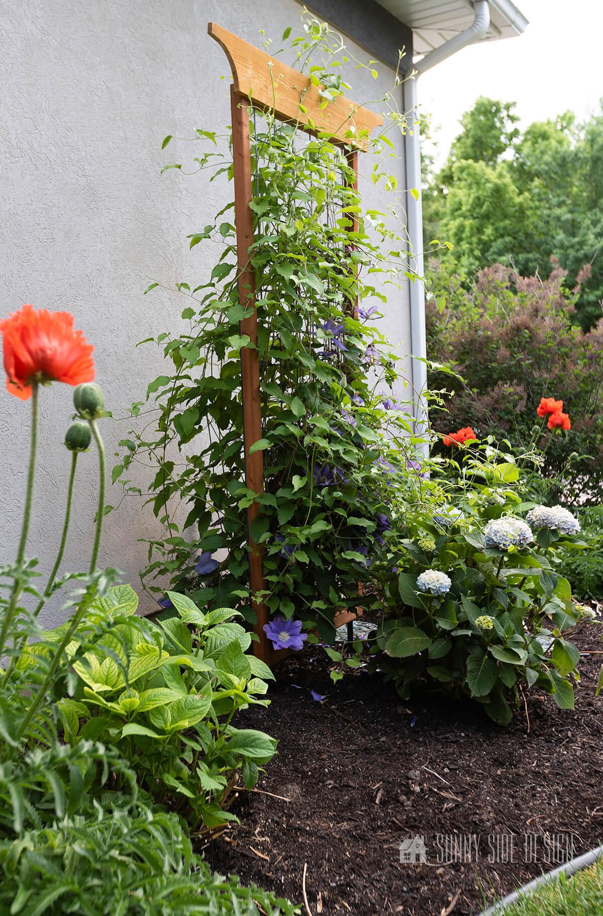 Use a trellis for ⁤climbing plants to beautify your backyard