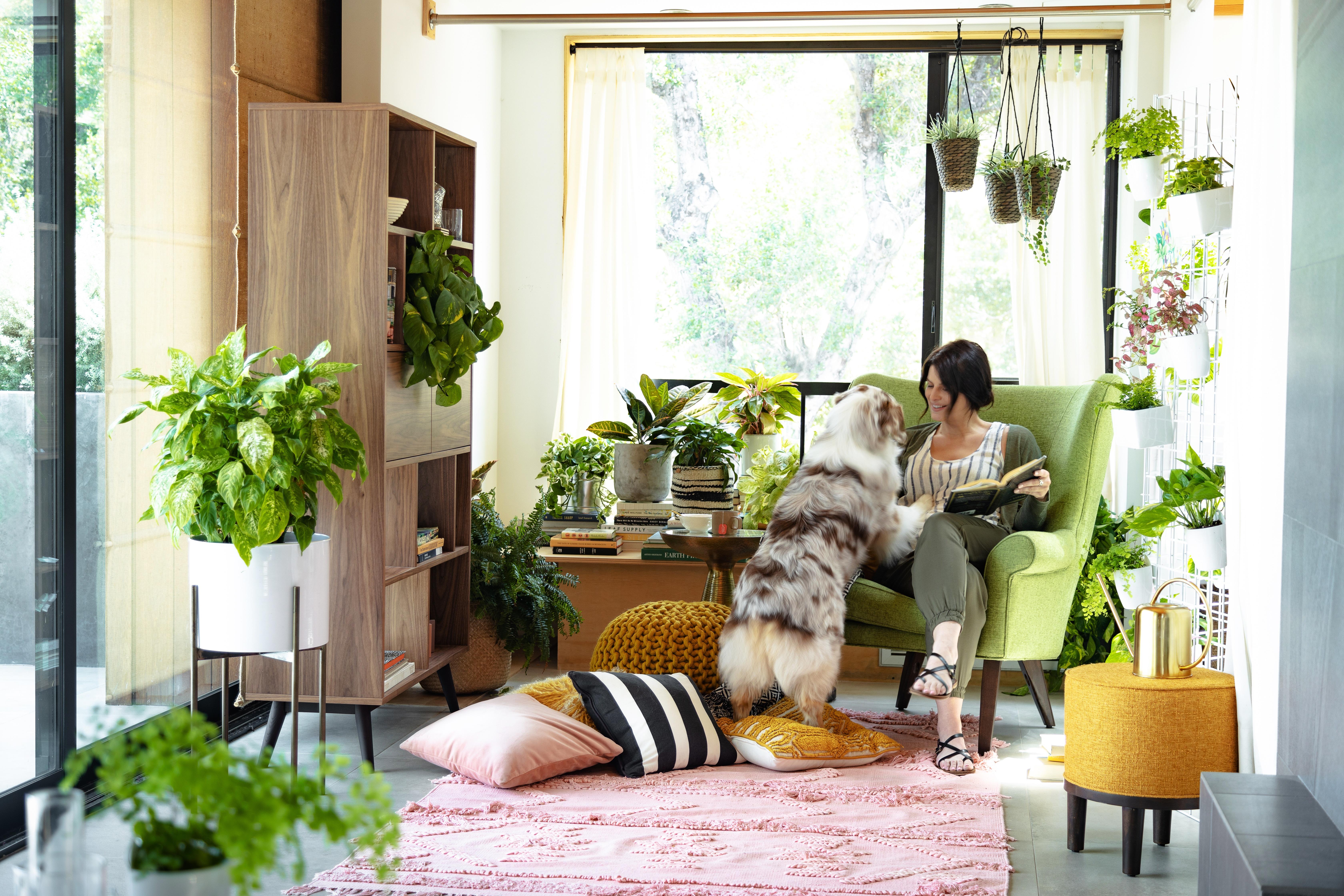 Bring in indoor plants for freshness and vitality in your Contemporary Living Room environment