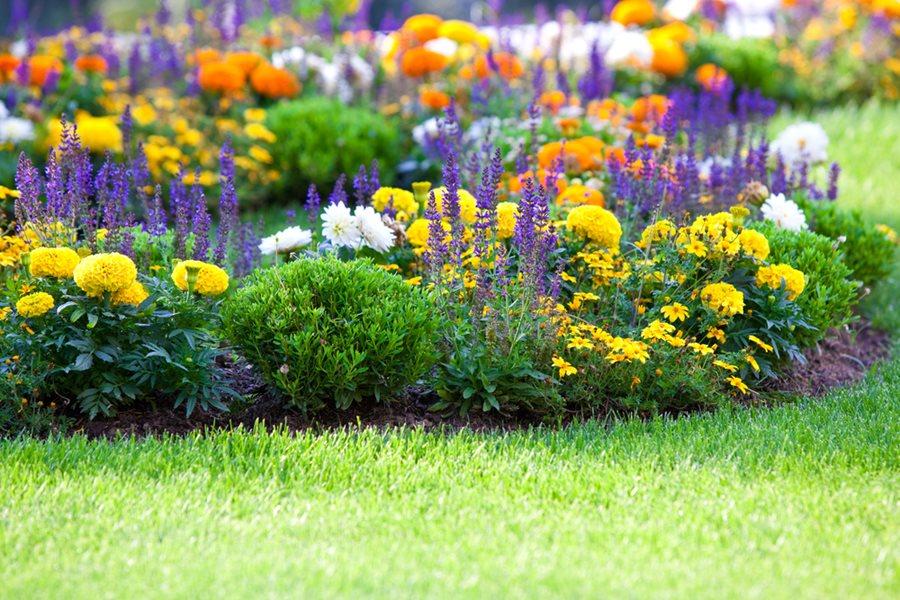 Colorful flower beds⁢ enhancing the beauty of your backyard ​landscaping