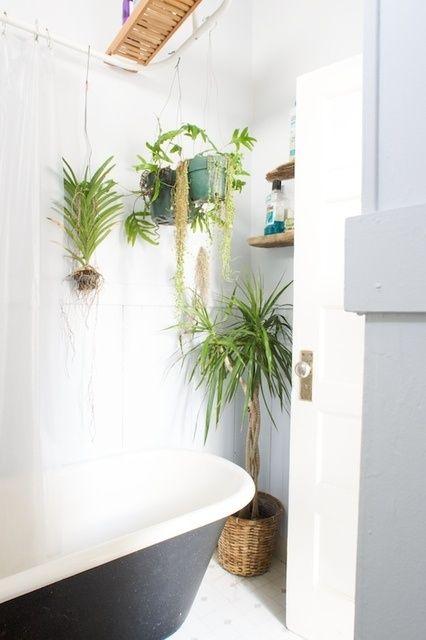 Add plants⁤ and⁣ greenery for a ​refreshing ‌vibe in your eclectic bathroom sanctuary