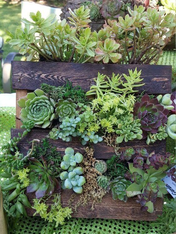 Pallet Succulent Garden:⁤ Low-maintenance greenery that thrives in small spaces